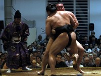 ���n�x�m�����؂锒�Q�i���j